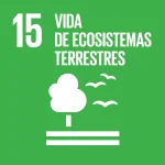 15_Vida_de_ecosistemas_terrestres