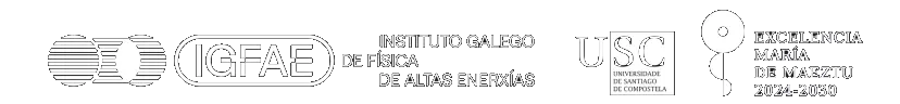 IGFAE Instituto Galego de Física de Altas Enerxías, USC Universidade Santiago de Compostela, Excelencia María de Maeztu 2024-2030