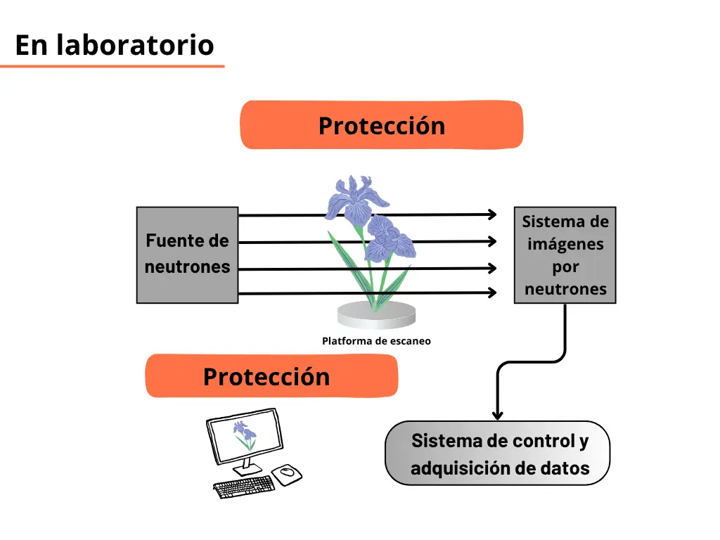 En laboratorio. Protección, Fuente de neutrones, Plataforma de escaneo, Sistema de imágenes por neutrones, Protección, Sistema de control y adquisición de datos.