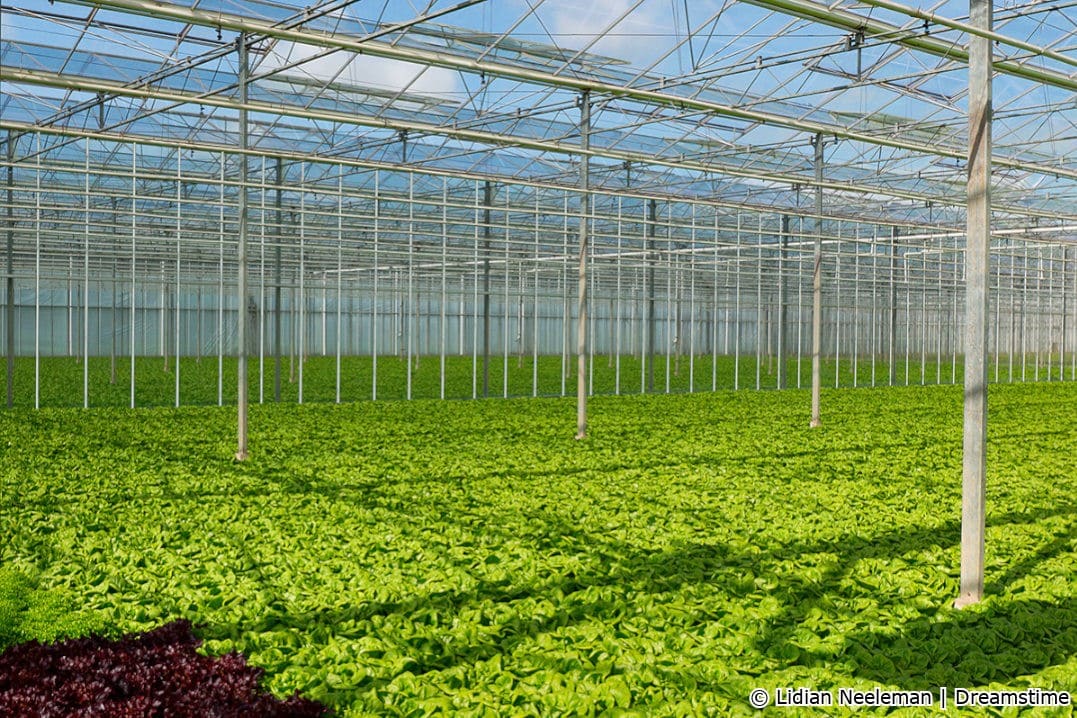 hortidaily